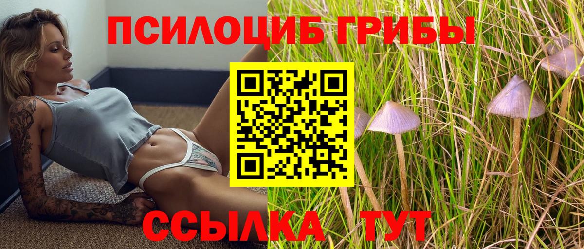 Донецк  Галлюциногенные грибы Magic Shrooms  наркошоп  Вход с VPN 